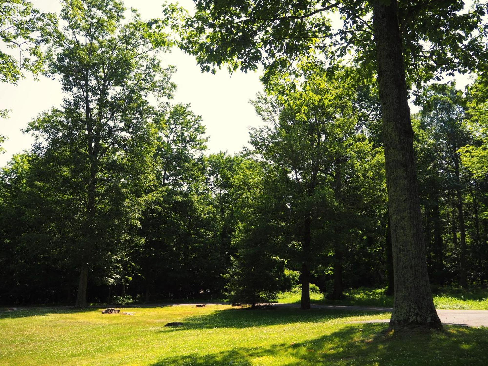 Woodfield Manor - A Sundance Vacations Property Cresco Екстер'єр фото