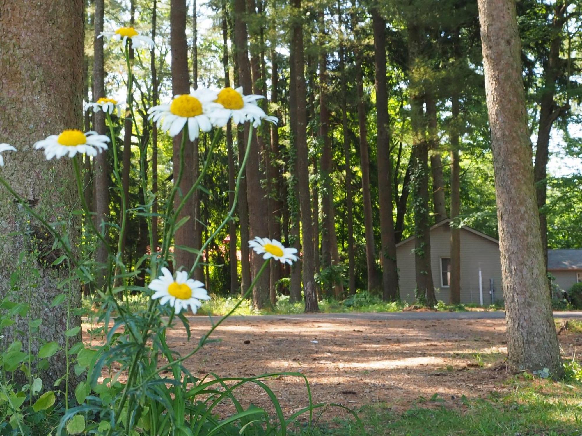 Woodfield Manor - A Sundance Vacations Property Cresco Екстер'єр фото